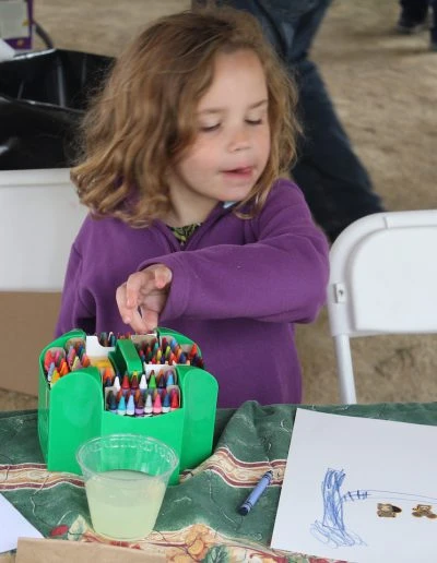 IMG_2612 copy